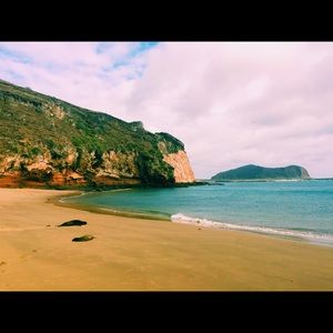 Meet your Posher, Kathryn